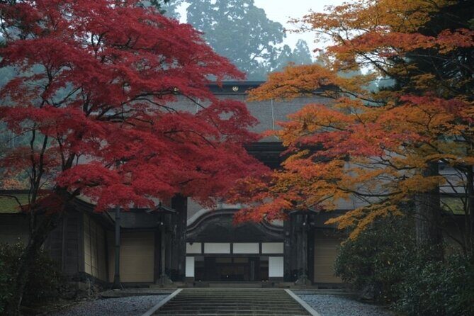 Mt Koya 1 Day Bus Tour from Osaka - Key Points