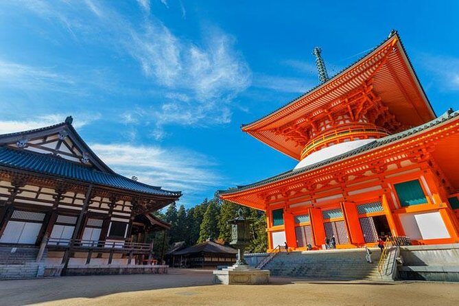 Mt. Koya Sacred Full-Day Private Tour (Osaka departure) with Licensed Guide - The Mausoleum of Tokugawa Shoguns: A Historical Footnote