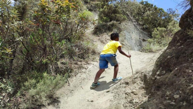Mt Longonot National park Day Hike - What You Can Expect from the Mt Longonot Hike