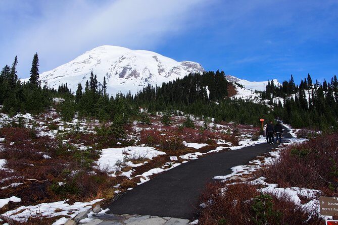 Mt. Rainier Day Tour from Seattle - Authentic Experiences and Common Praise