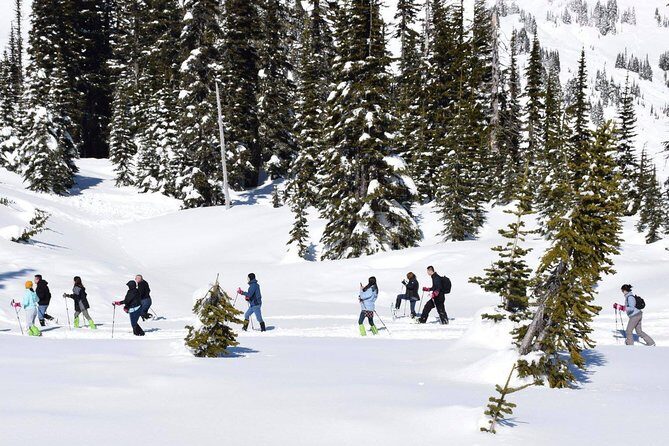 Mt. Rainier National Park Day Tour from Seattle - What Makes This Tour Special?