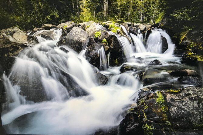 Mt. Rainier National Park Day Tour from Seattle - Authentic Experiences and Real Traveler Insights