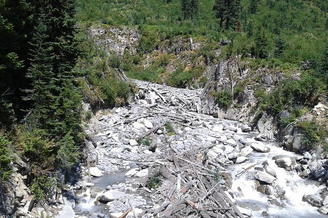 Mt Rainier Private Tour Experience in SUV - The Itinerary: What to Expect