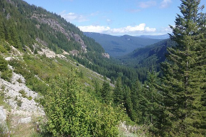 Mt Rainier Private Tour Experience in SUV - Price and Value