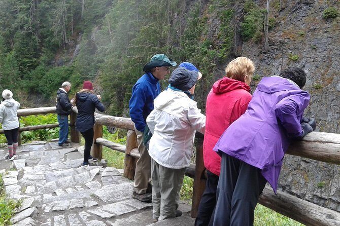 Mt Rainier Private Tour Experience in SUV - Authentic Content from Travelers