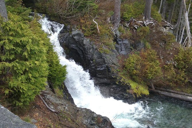Mt Rainier Private Tour Experience in SUV - Who Should Consider This Tour?