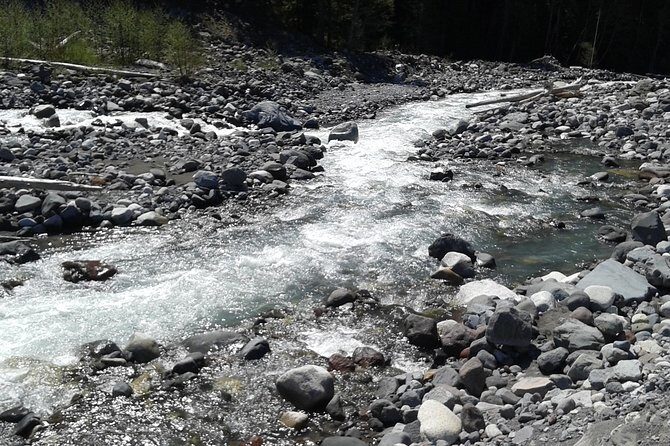 Mt Rainier Private Tour Experience in SUV - Final Thoughts: Is This Tour Worth It?