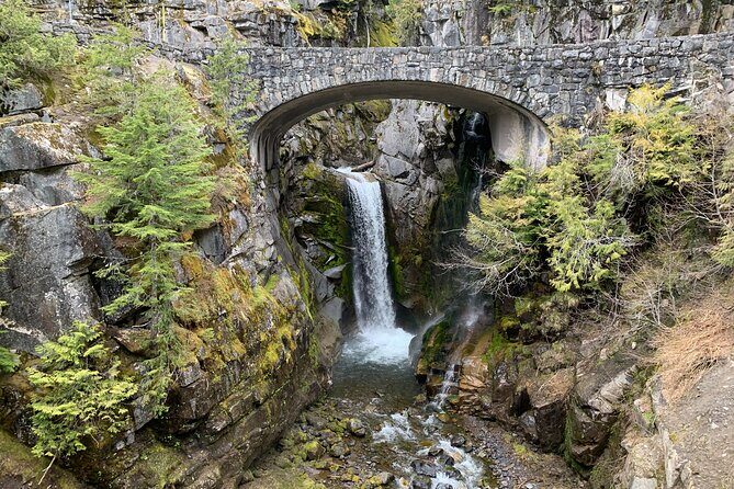 Mt. Rainier Tour and Guided Hike - The Value Proposition