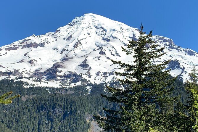 Mt. Rainier Tour and Guided Hike - Who Should Book This Tour?