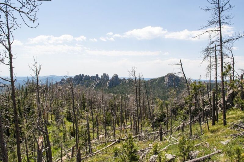 Mt Rushmore, Crazy Horse, Custer State Park Monument Tour - Final Thoughts