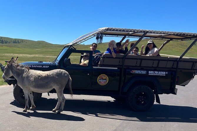 Mt Rushmore Night Ceremony and Tour - with Tunnels and Stargazing - Iron Mountain Road and Nighttime Photo Opportunities