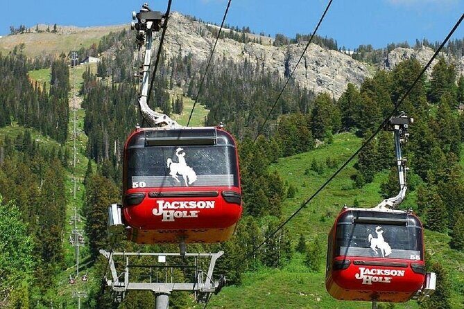 Mt Rushmore Yellowstone and Arches National Parks 6 day Tour - The Value Proposition