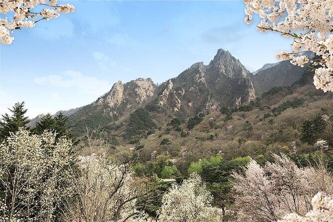 Mt. Seorak+Nami Island+Garden of Morning Calm Day Trip from Seoul - The Itinerary in Detail