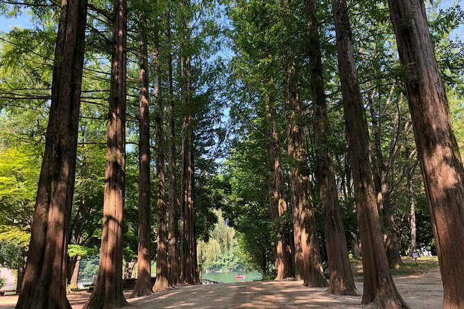 Mt. Seorak+Nami Island+Garden of Morning Calm Day Trip from Seoul - Who Would Love This Tour?