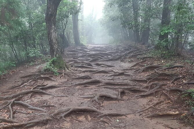 Mt. Takao with Hot Spring Private Tour - Exploring the Itinerary in Detail