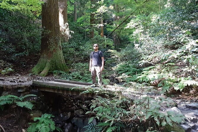 Mt. Takao with Hot Spring Private Tour - FAQ