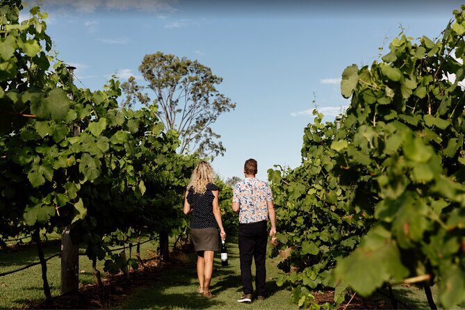 Mt Tamborine Shuttle Service - Gold Coast Return Transfer - What Makes This Tour Stand Out?
