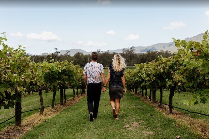 Mt Tamborine Shuttle Service - Gold Coast Return Transfer - Authentic Experiences and Genuine Feedback