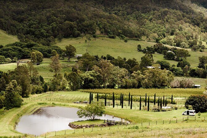 Mt Tamborine Shuttle Service - Gold Coast Return Transfer - Analyzing the Value