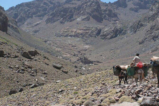 Mt Toubkal Ascent Express Trek 2 Days 1 Night - Final Thoughts