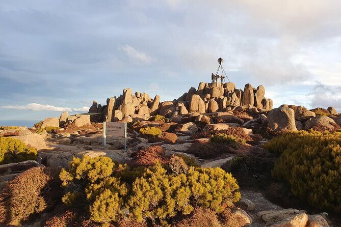Mt Wellington Afternoon Small Group Driving Tour - Practical Tips for Travelers