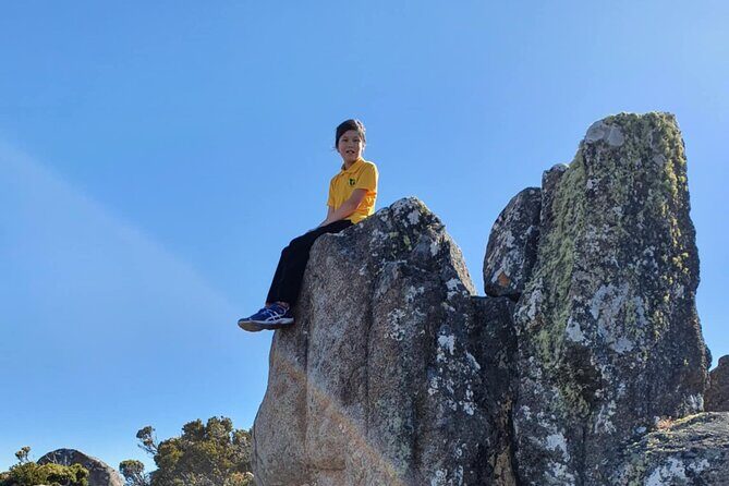 Mt Wellington Afternoon Small Group Driving Tour - Who Is This Tour Best For?