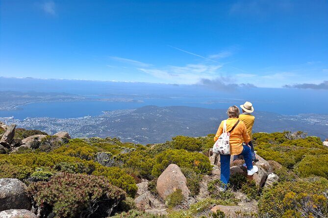 Mt Wellington Hobart Shore Excursion - The Route and What Youll Experience