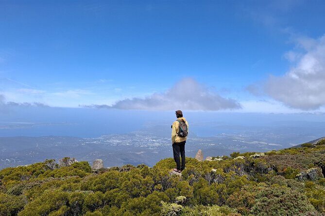Mt Wellington Hobart Shore Excursion - FAQ