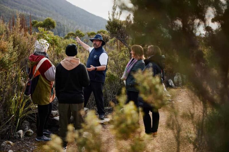 Mt Wellington Ultimate Afternoon Tour - The Journey Begins at Brooke Street Pier