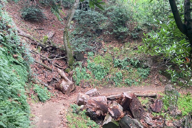 Mt Wilson Summit Adventure: Hike Up & Bike Down - Who Will Love This Tour?