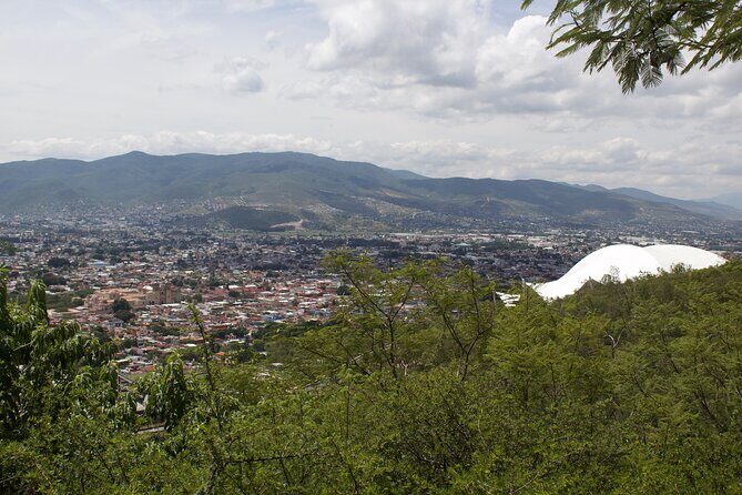 MTB Bike Tour: Enduro to Cerro del Fortín (Black Diamond trails) - The Sum Up
