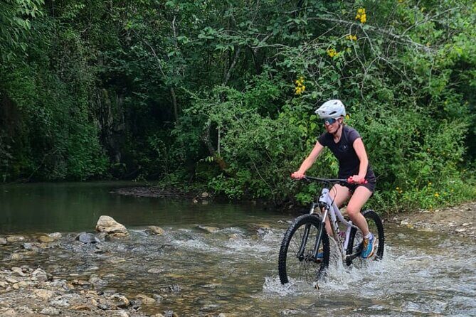 MTB Bike Tour: Monkey Tree + Tule Tree - What to Expect from the MTB Tour