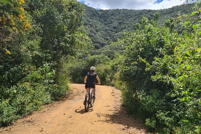 MTB Bike Tour: Monkey Tree + Tule Tree - Practical Details and Considerations
