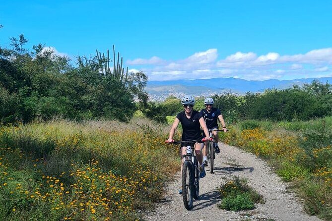MTB Bike Tour: Monkey Tree + Tule Tree - Final Thoughts