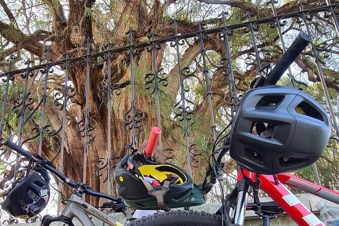 MTB Bike Tour: Monkey Tree + Tule Tree - FAQs