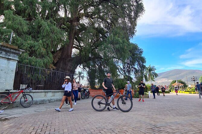 MTB Bike Tour: Tree of the Tule on mountain trails - FAQs