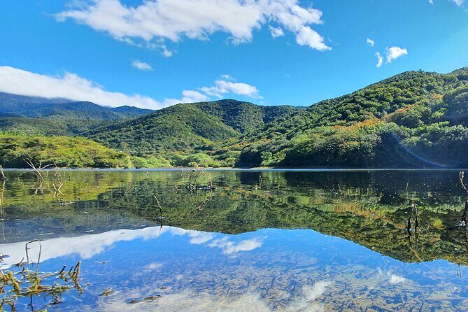 MTB Guided Ride, Tule Tree & Lake Half-Day - What Makes This Tour Stand Out?