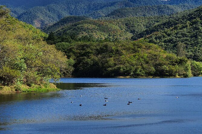 MTB Guided Ride, Tule Tree & Lake Half-Day - Who Should Consider This Tour?