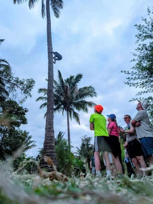 Mto wa Mbu: Village Cultural Tour with Local Market Visit - Key Points