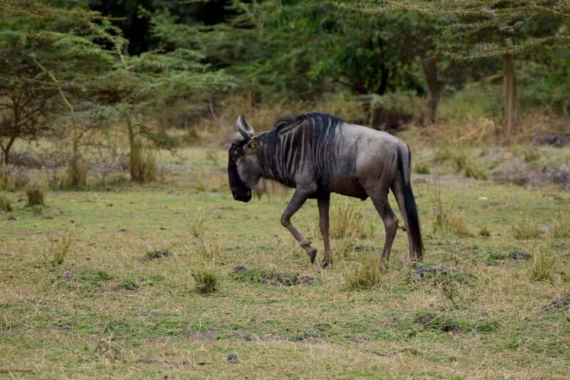Mto wa Mbu: Waterfall, Maasai Boma, Village, & Balaa Hill - Practical Considerations and Tips