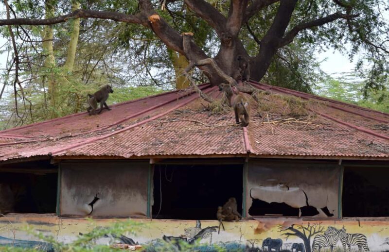 Mto wa Mbu: Waterfall, Maasai Boma, Village, & Balaa Hill - Who Will Love This Tour?