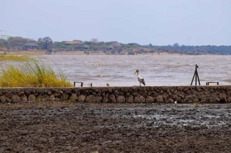 Mto wa Mbu: Waterfall, Maasai Boma, Village, & Balaa Hill - Final Thoughts