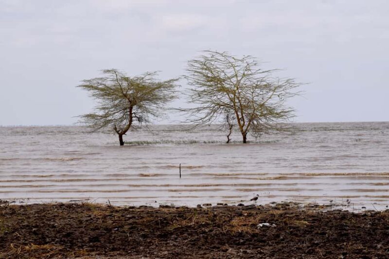 Mto wa Mbu: Waterfall, Maasai Boma, Village, & Balaa Hill - FAQ