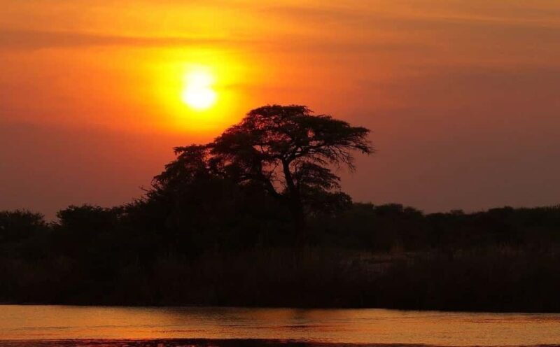 Mtwapa Creek: romantic Sunset Cruise in calm waters - Mtwapa Creek: Romantic Sunset Cruise in Calm Waters — A Detailed Review