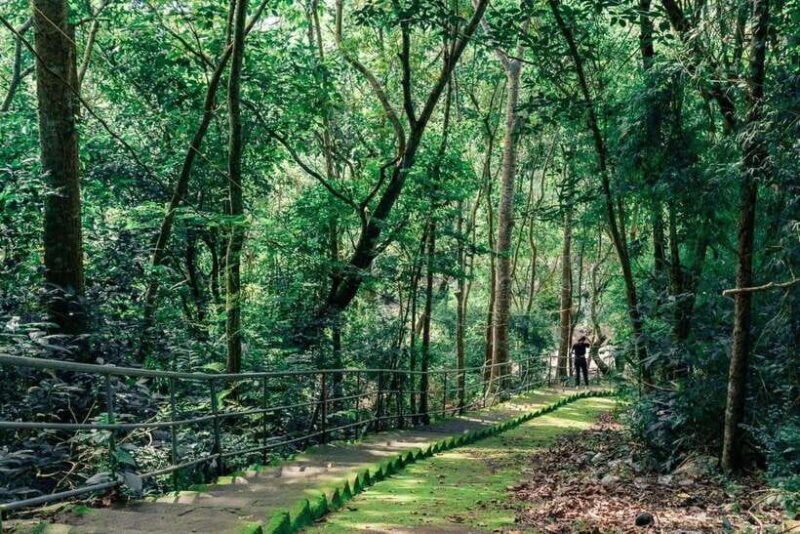 Mui Ne Sand Dunes Quad Bike Atv And Vung Tau City 2 Day Tour - An In-Depth Look at the 2-Day Itinerary