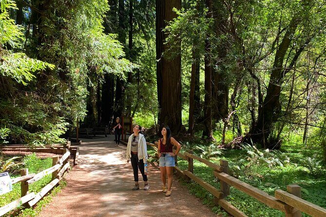 Muir Woods and Golden Gate Bridge 3-hour Private Group Tour - Authentic Traveler Feedback