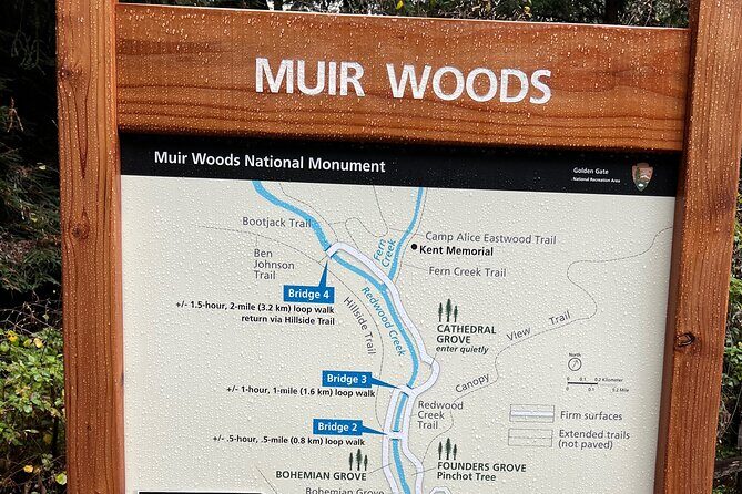 Muir Woods and Sausalito Private Tour - An Overview of What You’ll Experience