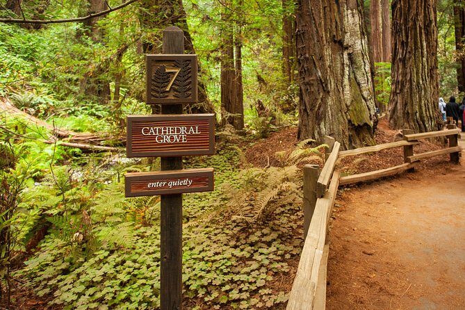 Muir Woods and Sausalito Tour Plus Bay Cruise - Final Thoughts