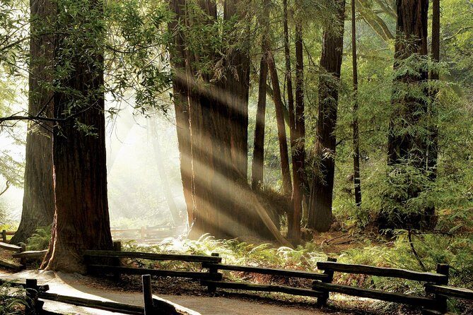 Muir Woods & Napa-8hr-Private Scenic Wine Tour From San Francisco - Exploring the Itinerary in Detail