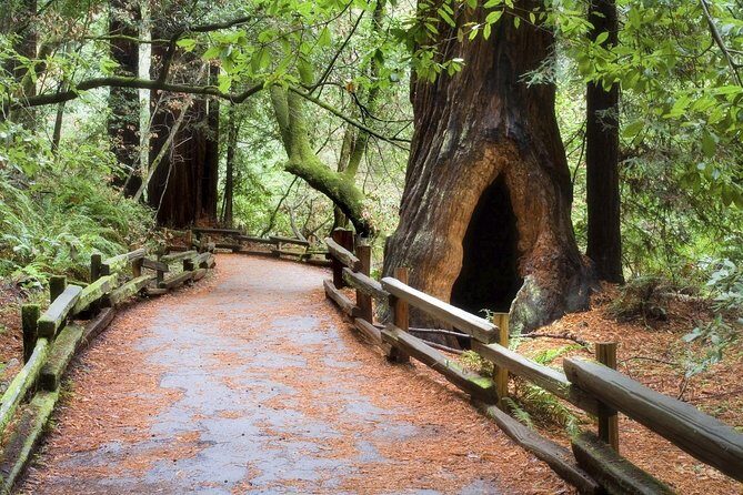 Muir Woods & Napa-8hr-Private Scenic Wine Tour From San Francisco - Who Will Love This Tour?